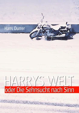 Hans Durrer Harrys Welt oder Die Sehnsucht nach Sinn обложка книги