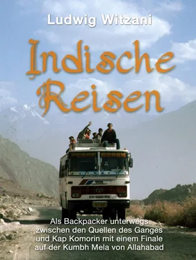 Ludwig Witzani Indische Reisen обложка книги