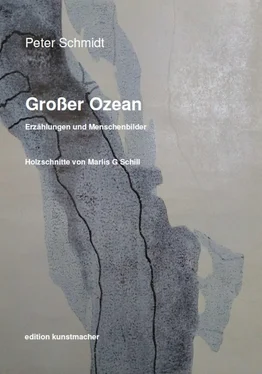 Peter Schmidt Großer Ozean. обложка книги