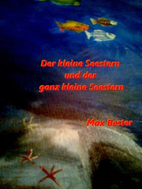 Max Bester Der kleine Seestern und der ganz kleine Seestern обложка книги