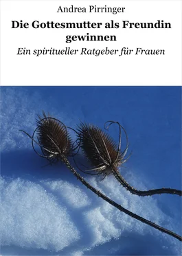 Andrea Pirringer Die Gottesmutter als Freundin gewinnen обложка книги