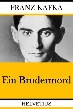 Franz Kafka Ein Brudermord обложка книги