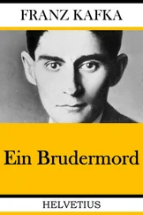 Franz Kafka - Ein Brudermord