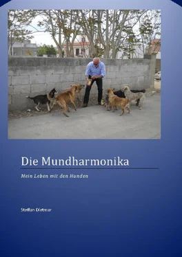 Dietmar Steffan Die Mundharmonika обложка книги