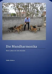 Dietmar Steffan - Die Mundharmonika