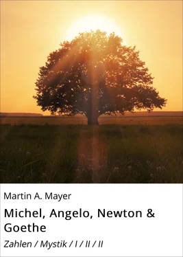 Martin A. Mayer Michel, Angelo, Newton & Goethe обложка книги