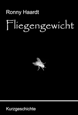 Ronny Haardt Fliegengewicht обложка книги