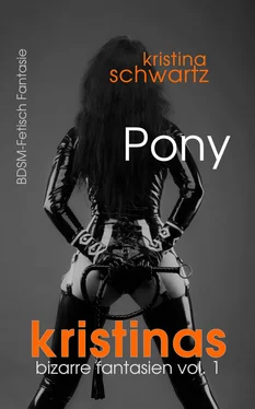 Kristina Schwartz Pony обложка книги