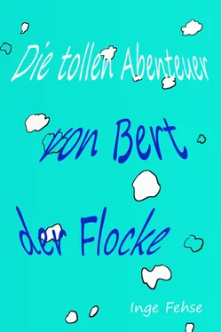 Inge Fehse Die tollen Abenteuer von Bert, der Flocke обложка книги