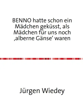 Jürgen Wiedey Benno hatte schon ein Mädchen geküsst, als Mädchen für uns noch 'alberne Gänse' waren. обложка книги