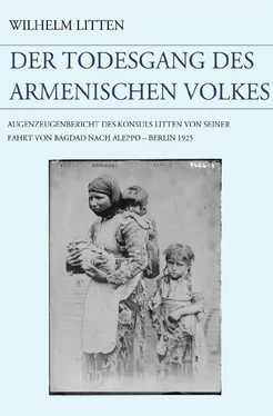 Wilhelm Litten Der Todesgang des armenischen Volkes обложка книги