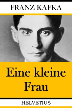 Franz Kafka Eine kleine Frau обложка книги