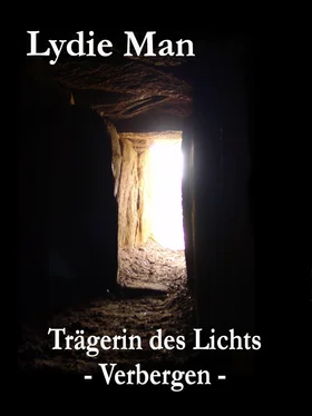 Lydie Man Trägerin des Lichts - Verbergen обложка книги