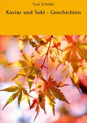 Susi Schüler - Kaviar und Sekt - Geschichten