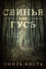 Эмиль Коста - Свинья или гусь