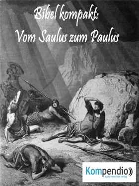 Alessandro Dallmann Vom Saulus zum Paulus обложка книги