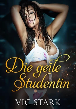 Vic Stark Die geile Studentin обложка книги