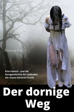 Stefanie P.A.I.N Der dornige Weg обложка книги