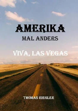 Thomas Riegler Amerika mal anders - Viva, Las Vegas обложка книги