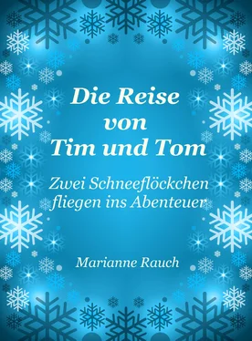 Marianne Rauch Die Reise von Tim und Tom обложка книги