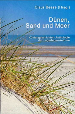 Claus Beese (Hrsg.) Dünen, Sand und Meer обложка книги