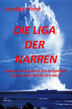 Josef Hahn Die Liga der Narren обложка книги