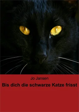 Jo Jansen Bis dich die schwarze Katze frisst обложка книги