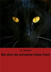 Jo Jansen - Bis dich die schwarze Katze frisst