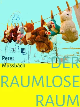 Peter Mussbach Der raumlose Raum обложка книги