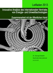 Georgia Badelt - Leitfaden 2013 Innovative Ansätze des internationalen Vertiebs von Energie- und Umwelttechnologien
