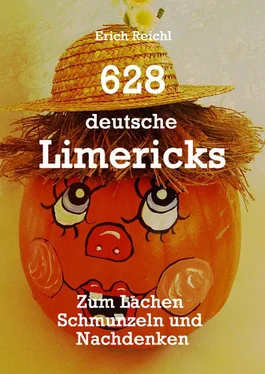 Erich Reichl 628 deutsche Limericks обложка книги