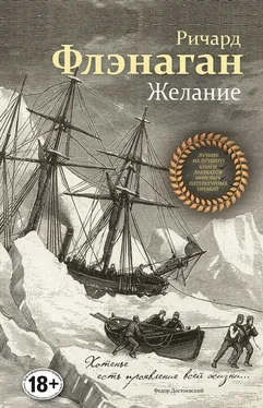 Ричард Флэнаган Желание обложка книги