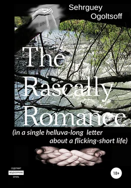 Сергей Огольцов The Rascally Romance (in a single helluva-long letter about a flicking-short life) обложка книги
