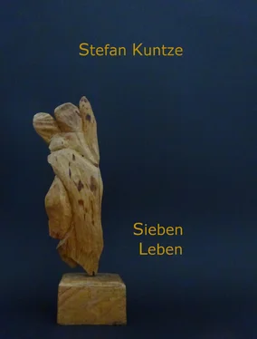 Stefan Kuntze Sieben Leben обложка книги