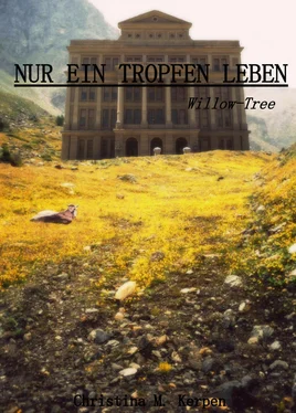 Christina M. Kerpen Nur ein Tropfen Leben обложка книги