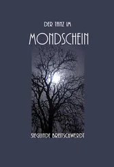 Sieglinde Breitschwerdt - Der Tanz im Mondschein