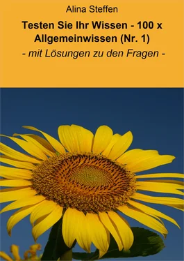 Alina Steffen Testen Sie Ihr Wissen - 100 x Allgemeinwissen (Nr. 1) обложка книги