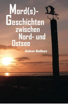 Rainer Ballnus Mord(s)-Geschichten zwischen Nord- und Ostsee обложка книги