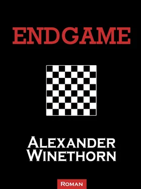 Alexander Winethorn Endgame обложка книги