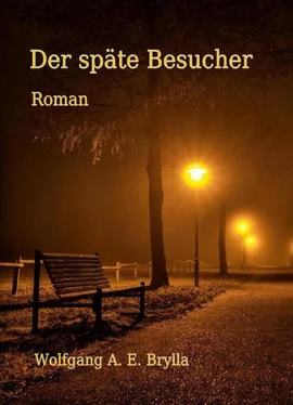 Wolfgang Brylla Der späte Besucher обложка книги