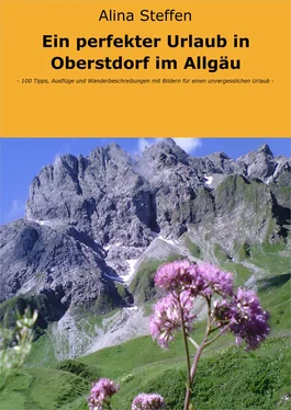 Alina Steffen Ein perfekter Urlaub in Oberstdorf im Allgäu обложка книги