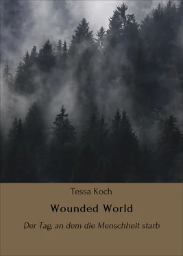 Tessa Koch Wounded World обложка книги