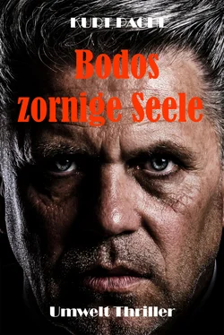 Kurt Pachl Bodos zornige Seele обложка книги