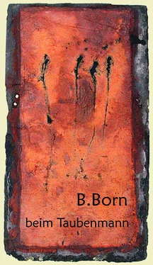 B. Born Beim Taubenmann обложка книги