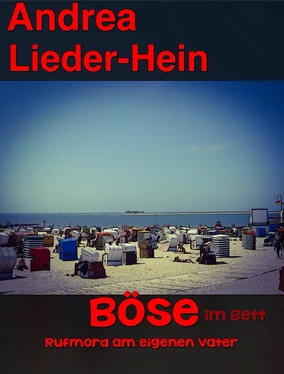 Andrea Lieder-Hein BÖSE im Bett обложка книги