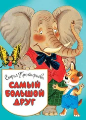Софья Прокофьева - Самый большой друг