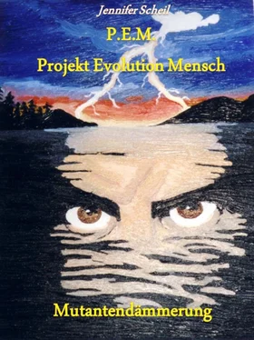 Jennifer Scheil P.E.M. Projekt Evolution Mensch обложка книги