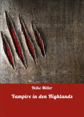 Heike Möller Vampire in den Highlands обложка книги