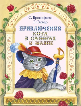 Софья Прокофьева Приключения Кота в сапогах и шляпе (сборник) обложка книги