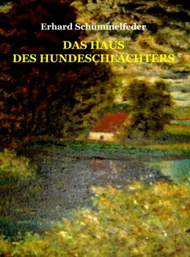 Erhard Schümmelfeder Das Haus des Hundeschlächters обложка книги